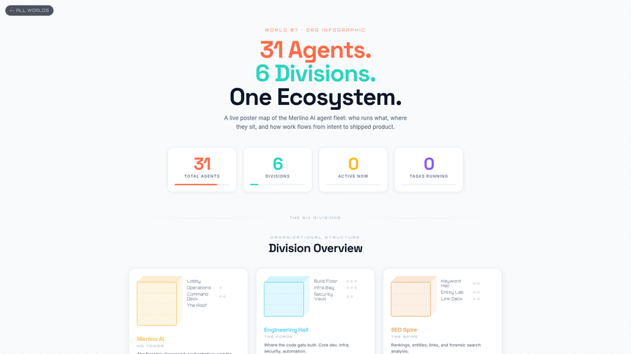 Org Infographic